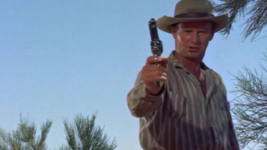 Background image for Shotgun