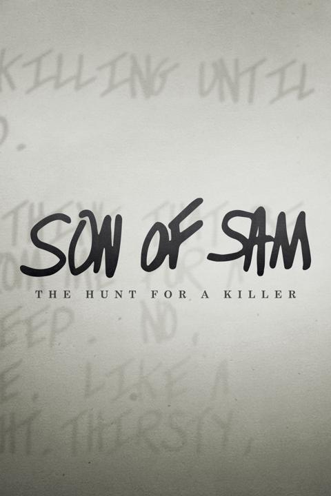 Series poster for The Hunt for a Killer