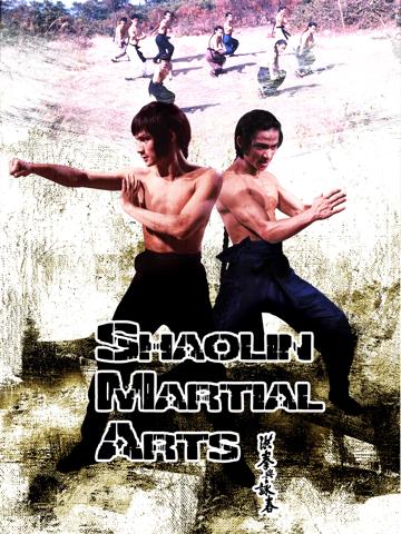 Shaolin Harcművészet poszter