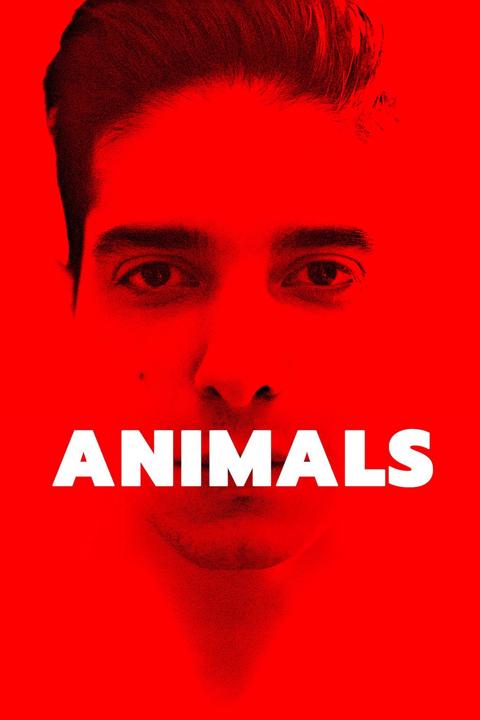Poster för Animals