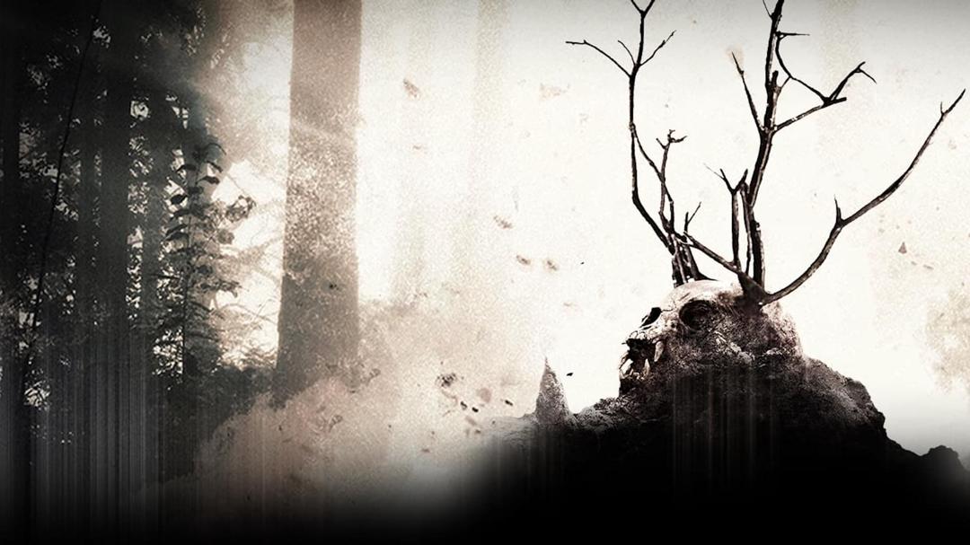 Background image for Rootwood