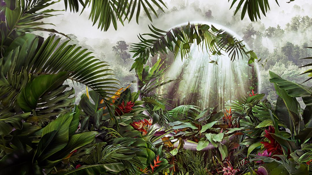 Background image for The Green Planet