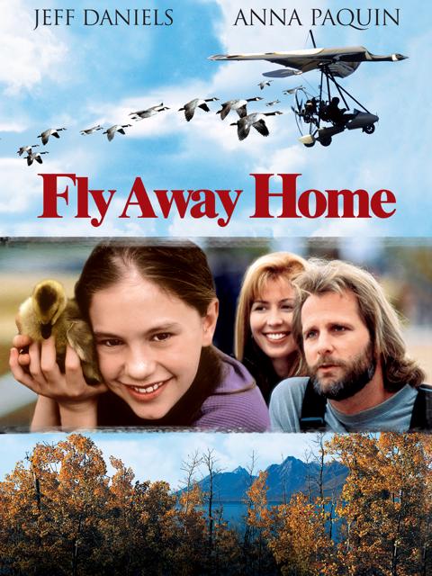 Fly Away Home
