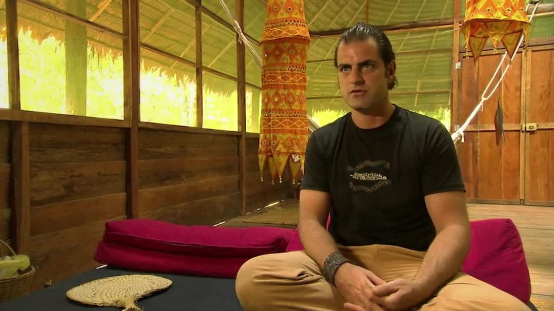 Background image for Vine of the Soul: Encounters with Ayahuasca