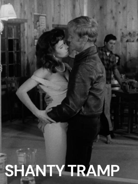 Movie poster for Shanty Tramp