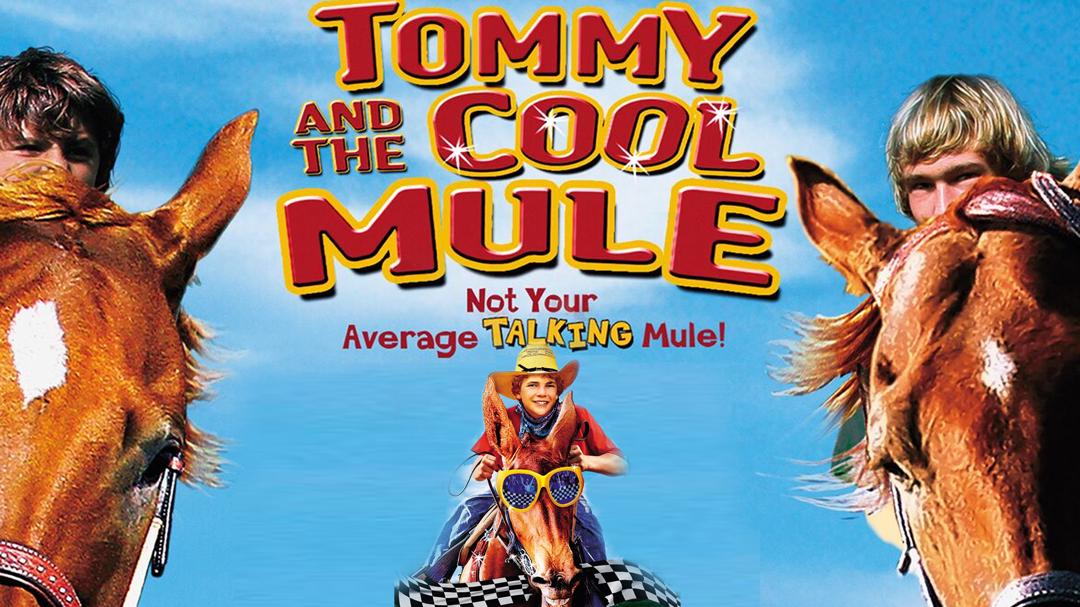 Tommy and the Cool Mule