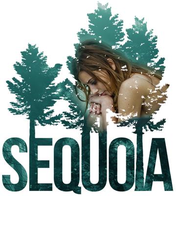 Sequoia poszter