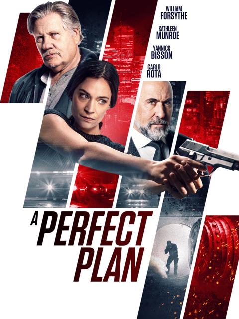 Movie poster for A Perfect Plan