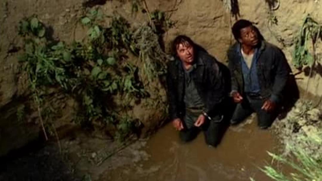 Background image for The Defiant Ones
