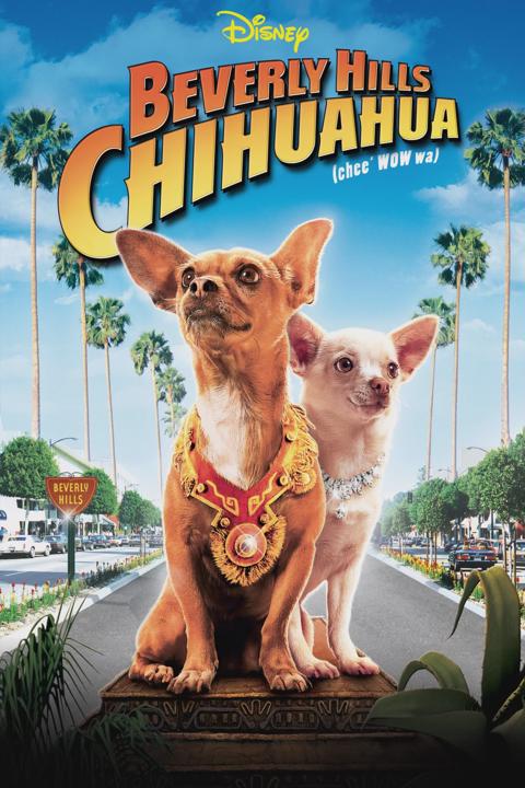 Beverly Hills Chihuahua