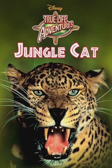 Jungle Cat poszter