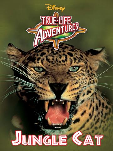 Jungle Cat poszter