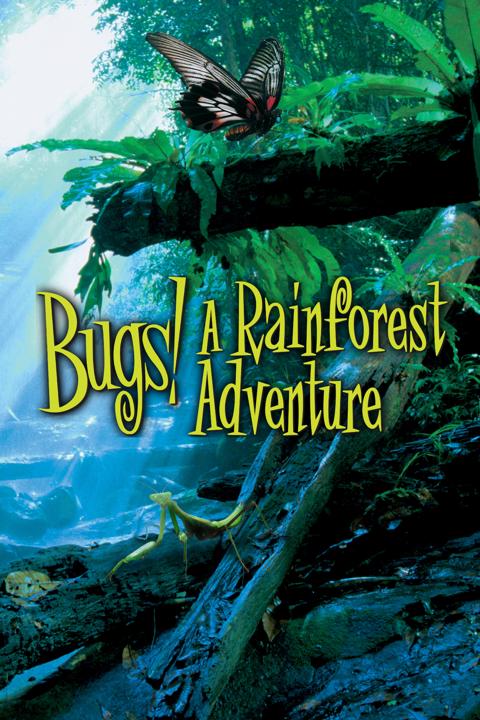 Poster för Bugs!