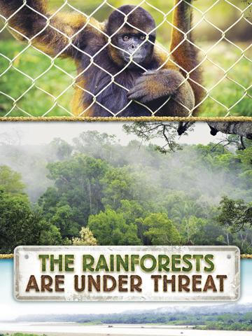The Rainforests Are Under Threat poszter