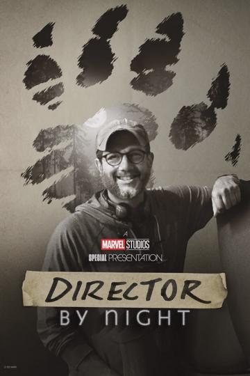 Director by Night poszter