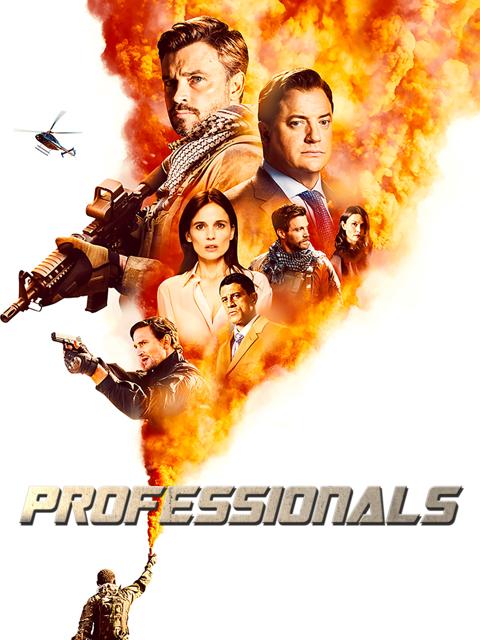 Series poster for Professionals