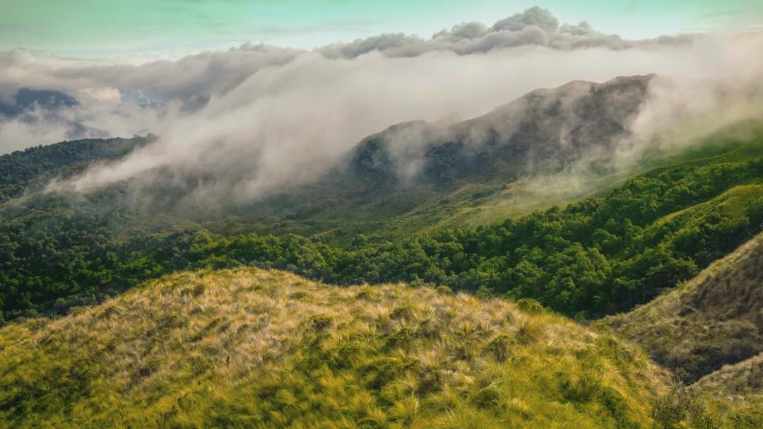Background image for Expedition Amazon