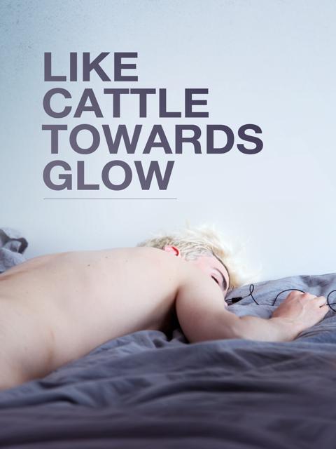 Movie poster for Like Cattle Towards Glow