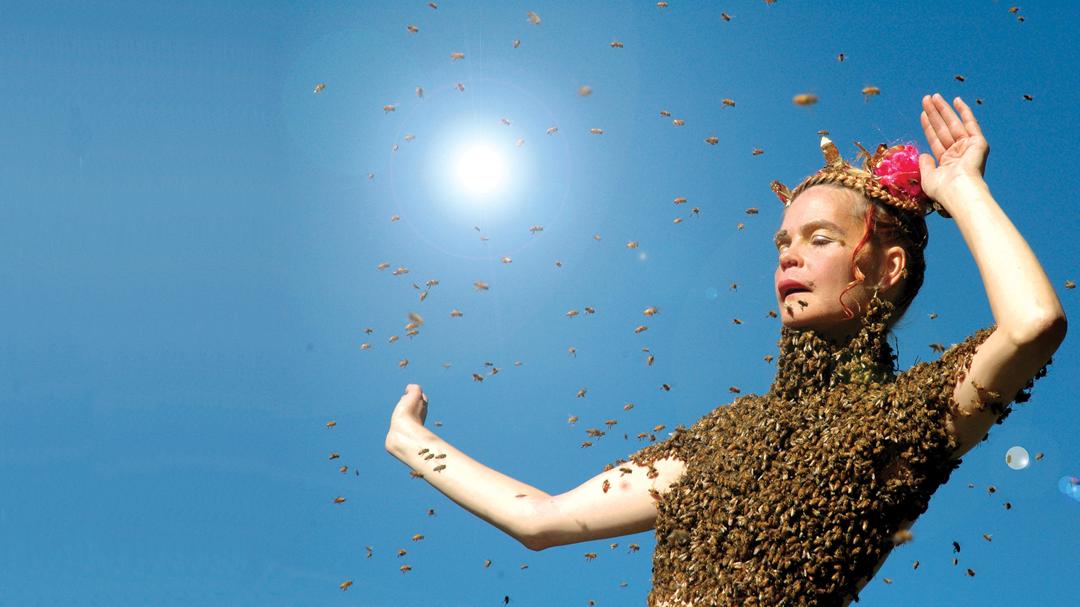 Background image for Queen of the Sun: What Are the Bees Telling Us?