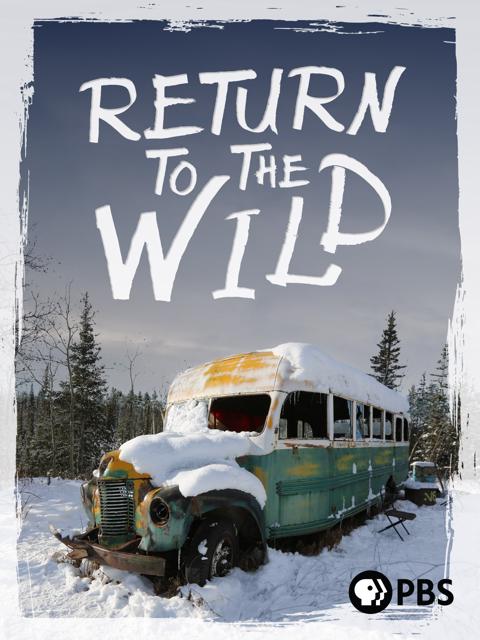 Movie poster for Return to the Wild: The Chris McCandless Story