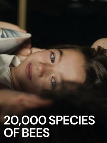 20,000 Species of Bees