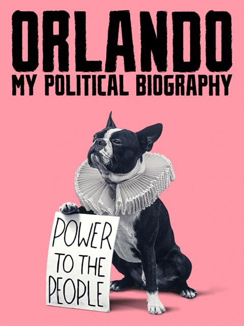 Movie poster for Orlando, My Political Biography