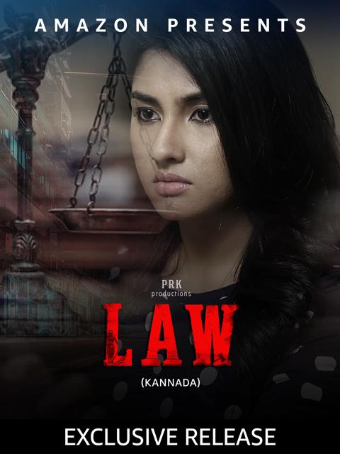 Movie poster for LAW