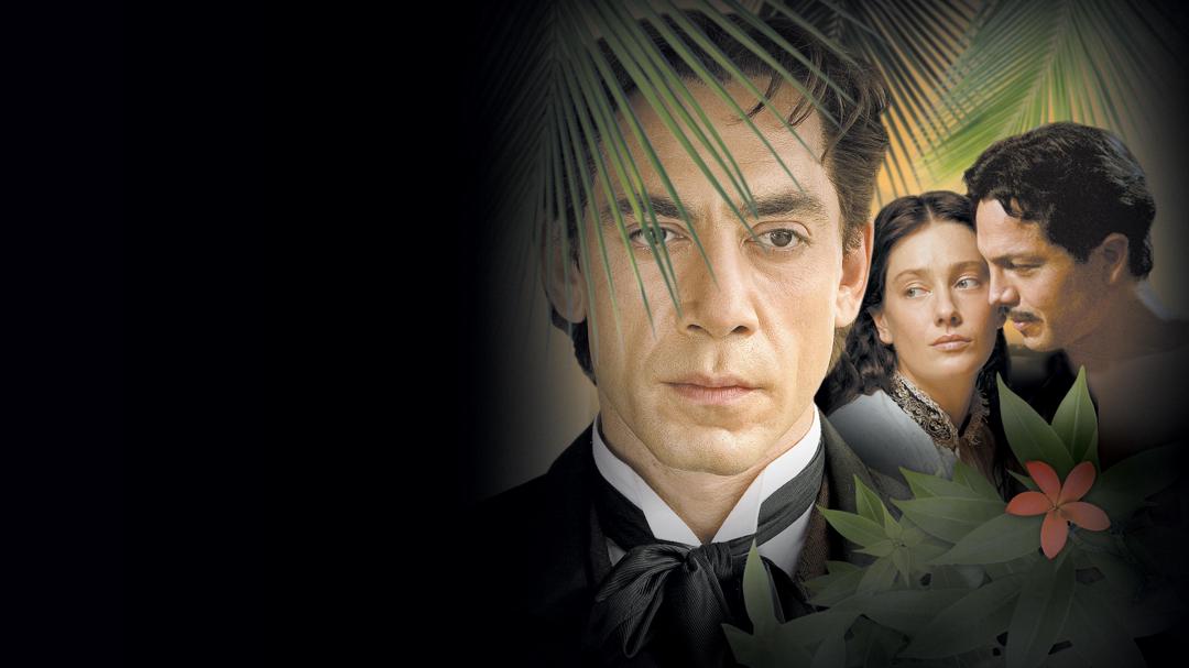Background image for Love in the Time of Cholera