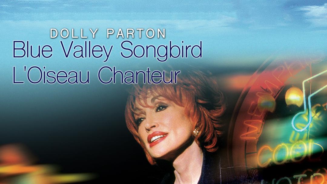 Blue Valley Songbird