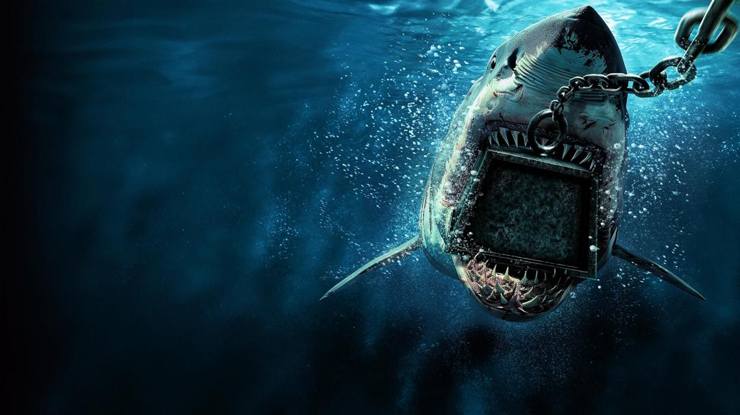 Background image for 6000-LB. Shark