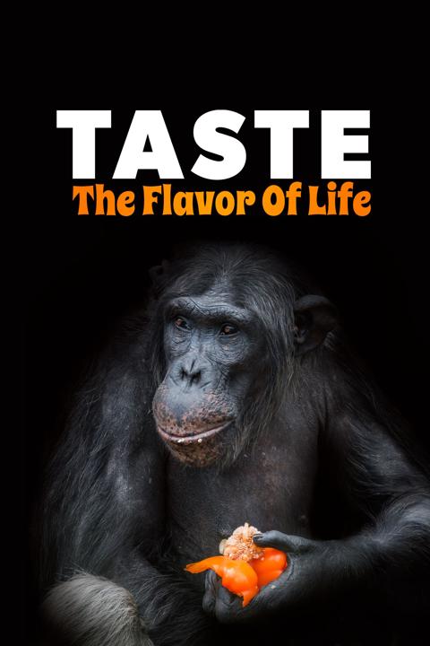 Poster för Taste: The Flavor of Life