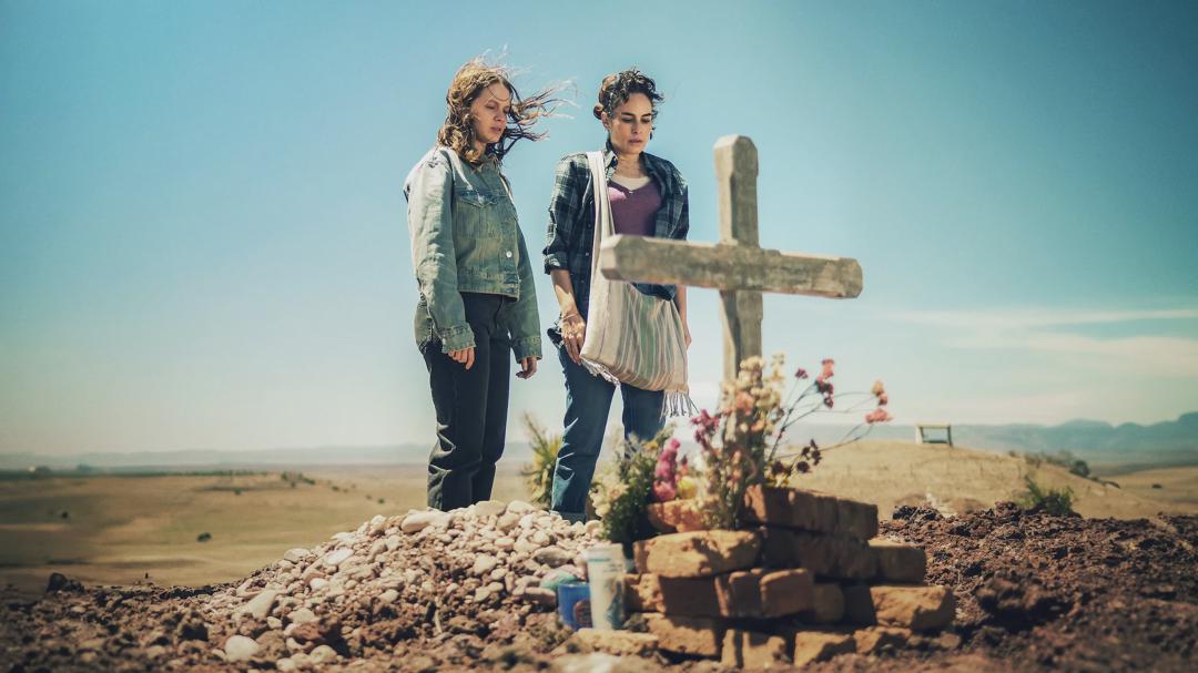 Background image for Sisters' Feud