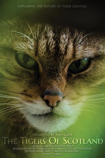 The Tigers of Scotland poszter