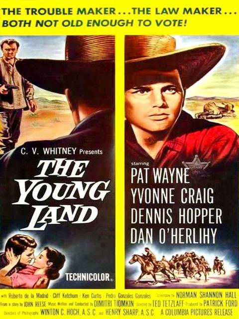 Movie poster for The Young Land