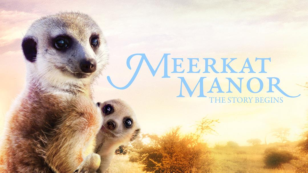 Meerkat Manor: The Story Begins