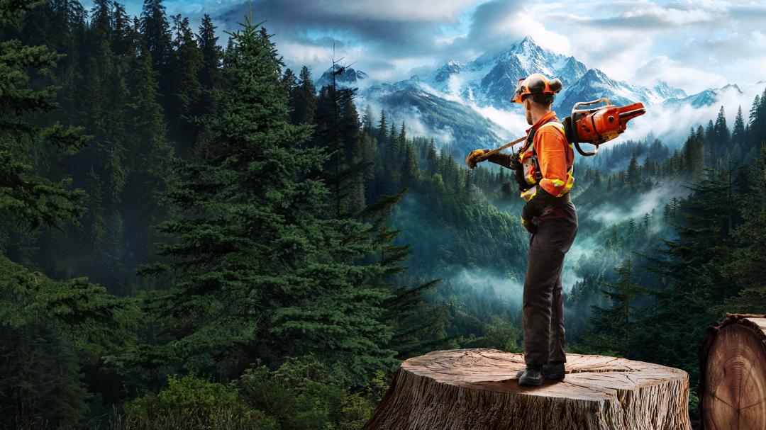 Background image for The Last Woodsmen