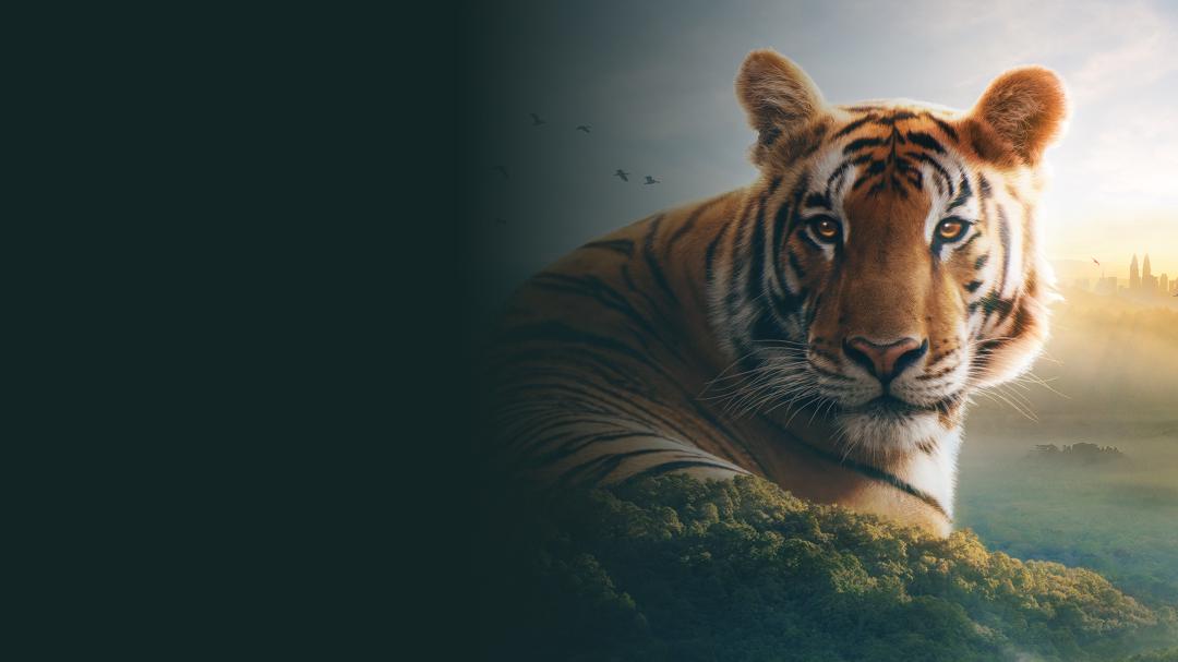 Background image for Asia