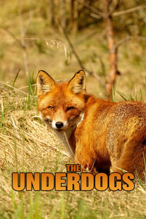 Poster för Underdogs