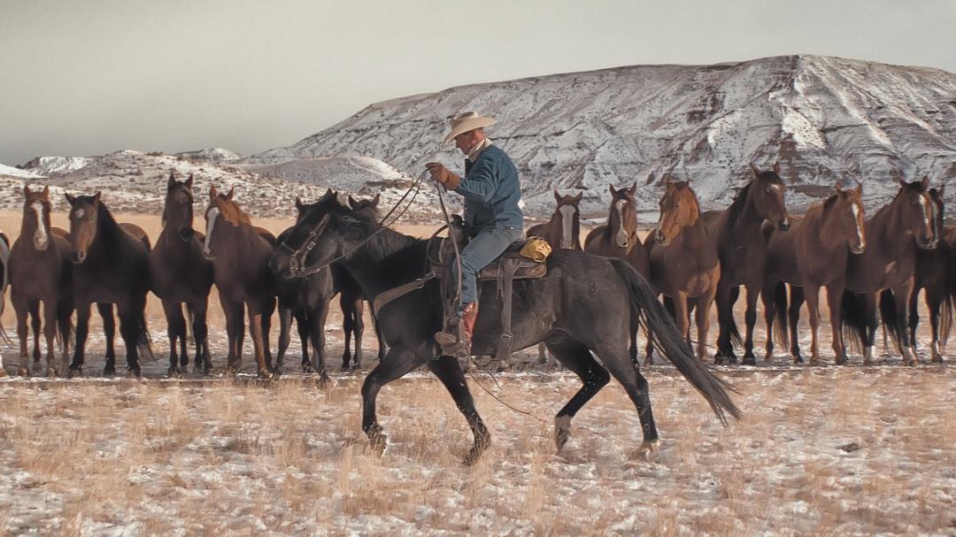 Background image for My Heroes Were Cowboys