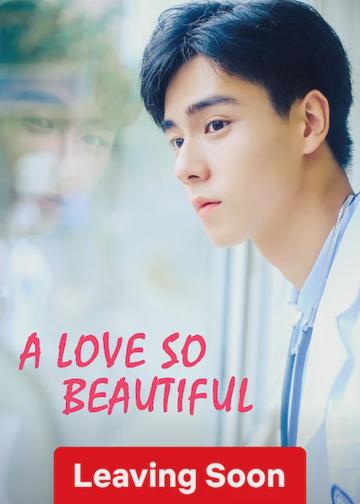 A Love So Beautiful poszter