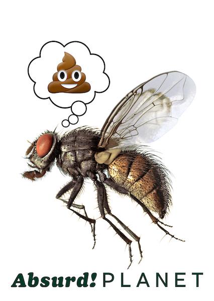 Poster för Absurd Planet