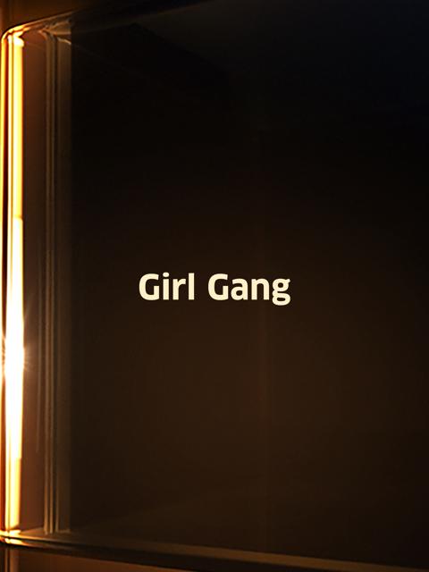 Movie poster for Girl Gang
