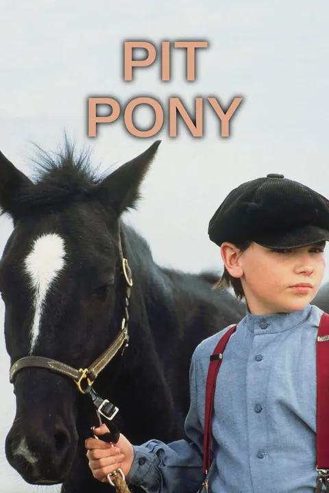 Movie poster for Pit Pony