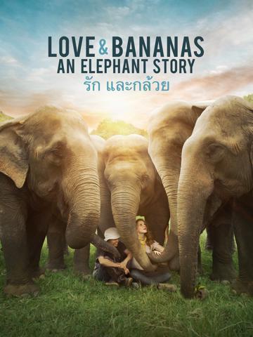 Love & Bananas: An Elephant Story poszter