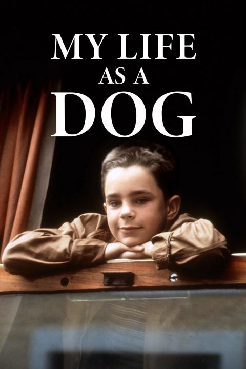 Poster för Mitt liv som hund