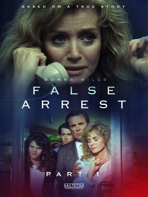Movie poster for False Arrest