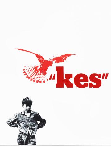 Kes poszter