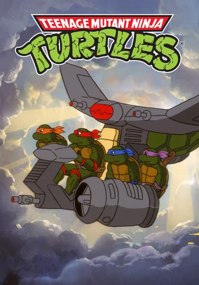 Teenage Mutant Ninja Turtles
