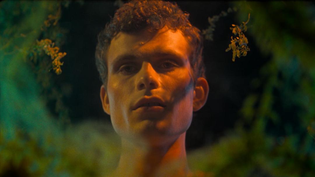 Background image for Blank Narcissus (Passion of the Swamp)