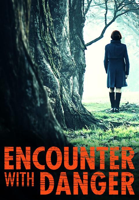 Movie poster for Encounter with Danger